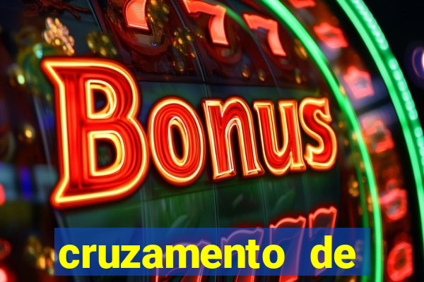 cruzamento de cavalo com mula